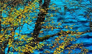 我想知道在电僵王追不上方式